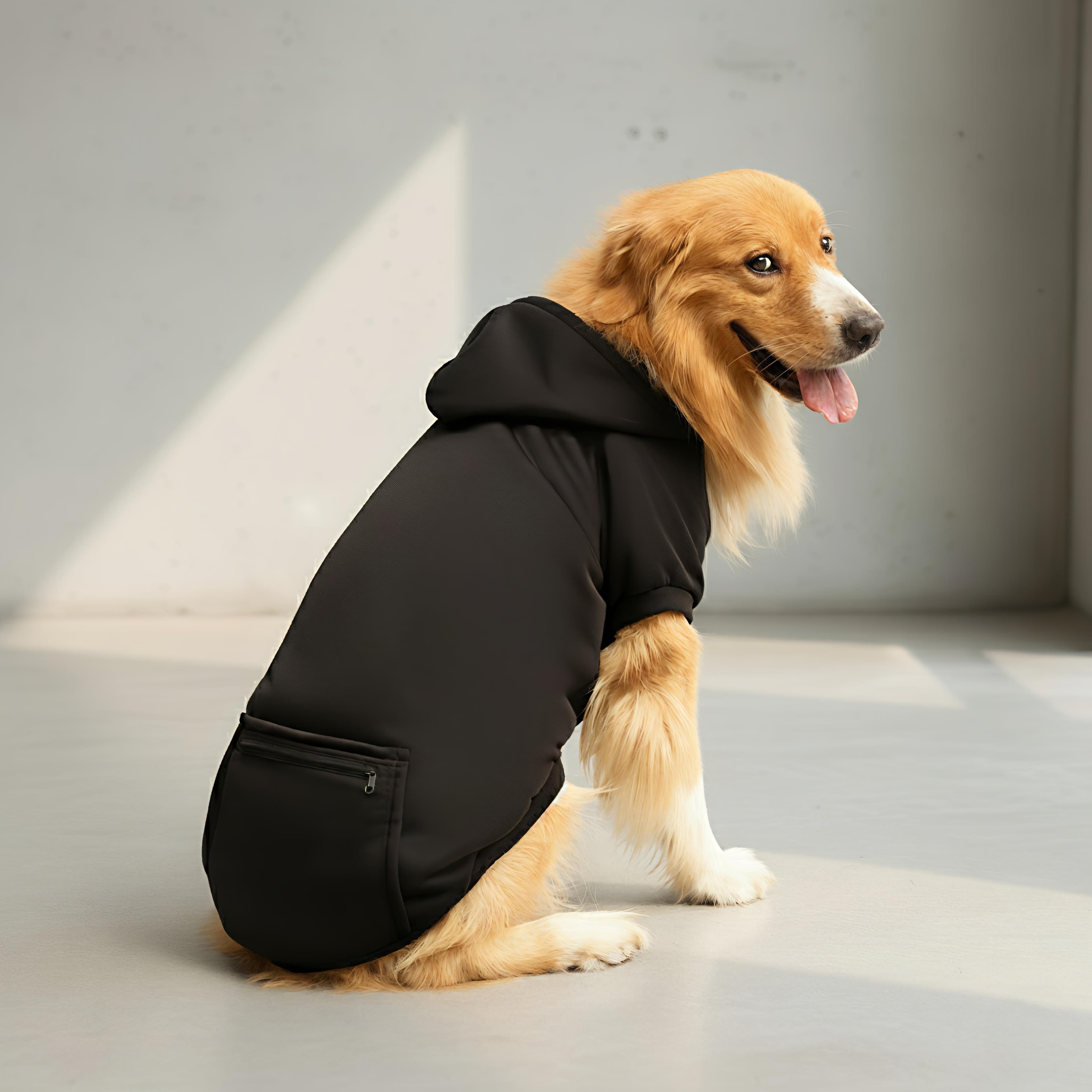 Dog + matching black hoodie & trackpants